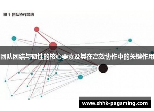团队团结与韧性的核心要素及其在高效协作中的关键作用