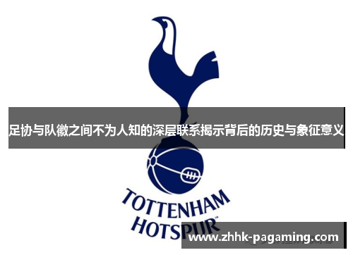 足协与队徽之间不为人知的深层联系揭示背后的历史与象征意义 足协与队徽之间不为人知的深层联系揭示背后的历史与象征意义
