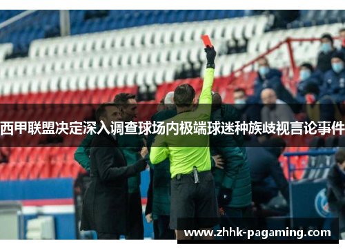 西甲联盟决定深入调查球场内极端球迷种族歧视言论事件 西甲联盟决定深入调查球场内极端球迷种族歧视言论事件