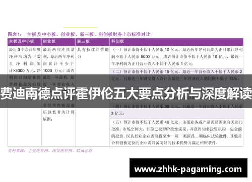 费迪南德点评霍伊伦五大要点分析与深度解读 费迪南德点评霍伊伦五大要点分析与深度解读